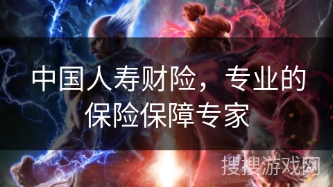 中国人寿财险，专业的保险保障专家