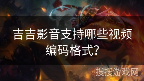 吉吉影音支持哪些视频编码格式？