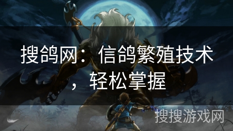 搜鸽网：信鸽繁殖技术，轻松掌握