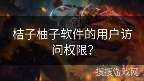 桔子柚子软件的用户访问权限？