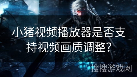 小猪视频播放器是否支持视频画质调整？