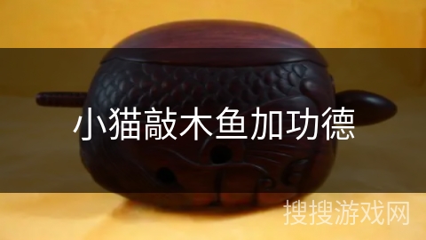 小猫敲木鱼加功德