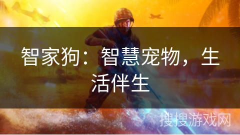 智家狗：智慧宠物，生活伴生