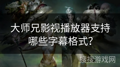 大师兄影视播放器支持哪些字幕格式？
