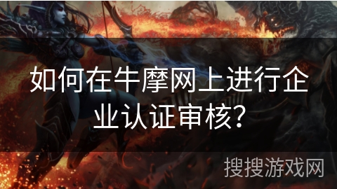 如何在牛摩网上进行企业认证审核？