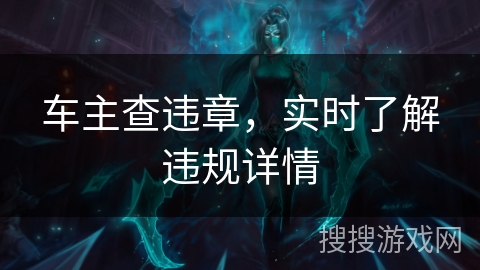 车主查违章，实时了解违规详情