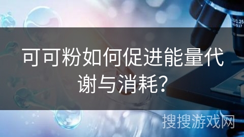 可可粉如何促进能量代谢与消耗？