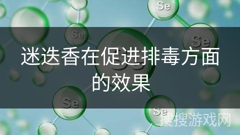 迷迭香在促进排毒方面的效果