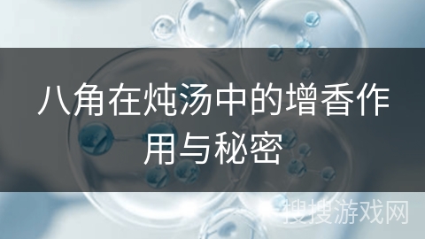 八角在炖汤中的增香作用与秘密