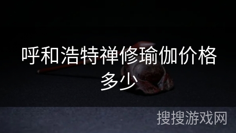 呼和浩特禅修瑜伽价格多少