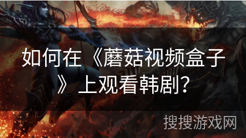 如何在《蘑菇视频盒子》上观看韩剧？