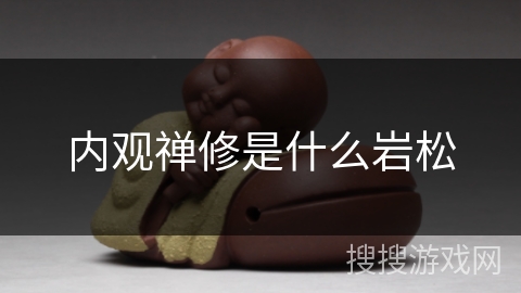 内观禅修是什么岩松 内观禅修是什么岩松