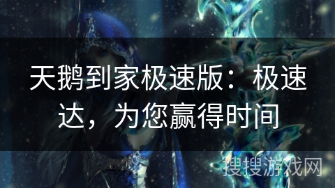 天鹅到家极速版：极速达，为您赢得时间