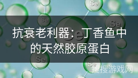 抗衰老利器：丁香鱼中的天然胶原蛋白
