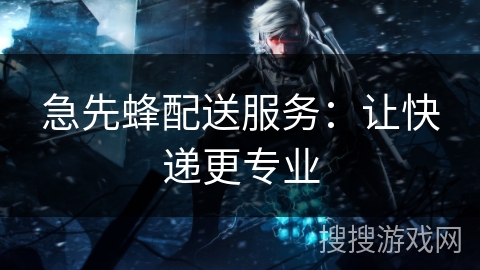 急先蜂配送服务:让快递更专业 急先蜂配送服务:让快递更专业