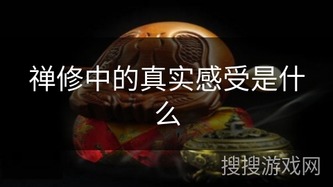 禅修中的真实感受是什么
