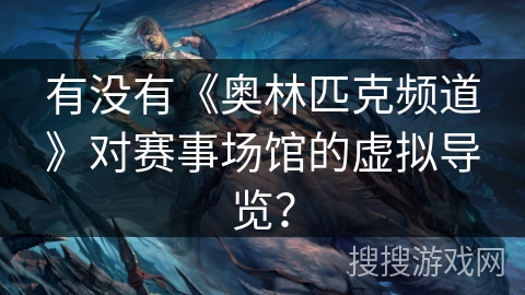 有没有《奥林匹克频道》对赛事场馆的虚拟导览？