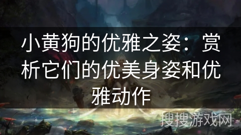 小黄狗的优雅之姿：赏析它们的优美身姿和优雅动作