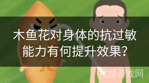 木鱼花对身体的抗过敏能力有何提升效果？