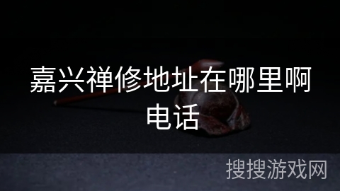 嘉兴禅修地址在哪里啊电话