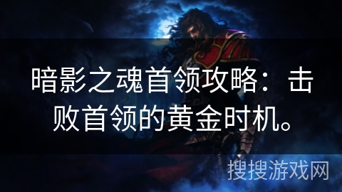 暗影之魂首领攻略：击败首领的黄金时机。