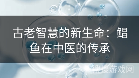 古老智慧的新生命:鲳鱼在中医的传承