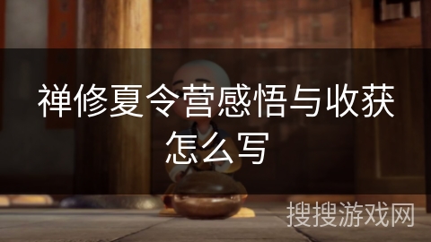 禅修夏令营感悟与收获怎么写