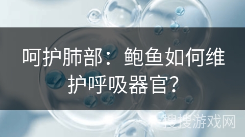 呵护肺部：鲍鱼如何维护呼吸器官？