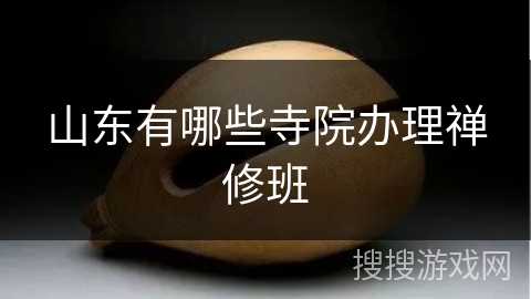 山东有哪些寺院办理禅修班