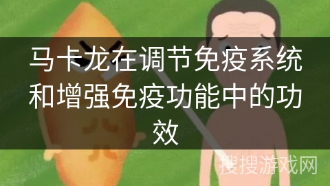 马卡龙在调节免疫系统和增强免疫功能中的功效