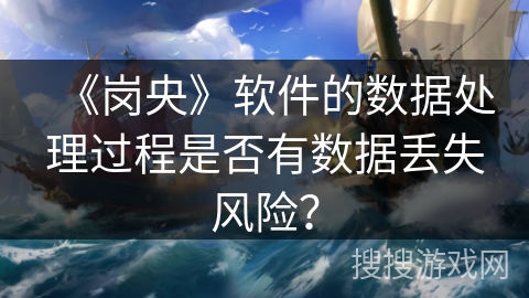《岗央》软件的数据处理过程是否有数据丢失风险？