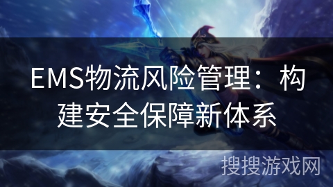EMS物流风险管理：构建安全保障新体系