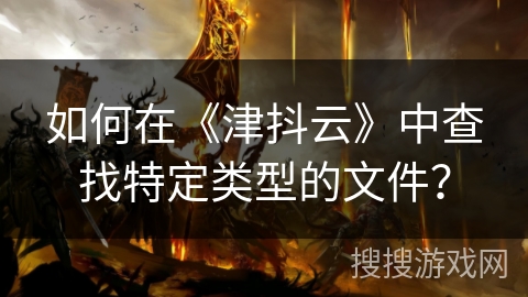 如何在《津抖云》中查找特定类型的文件？