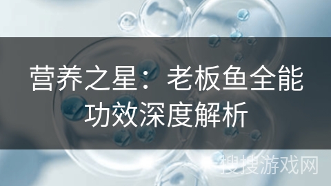 营养之星:老板鱼全能功效深度解析