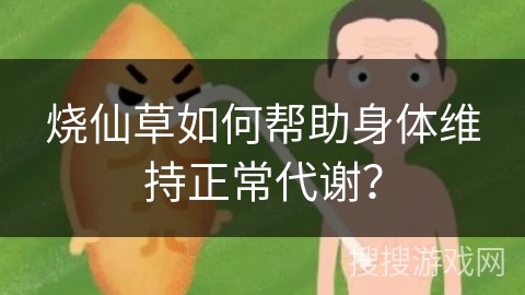 烧仙草如何帮助身体维持正常代谢？