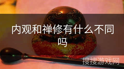 内观和禅修有什么不同吗 内观和禅修有什么不同吗