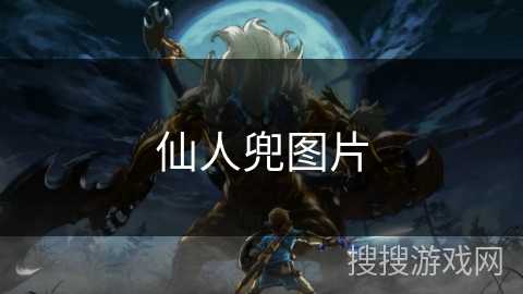 仙人兜图片 仙人兜图片