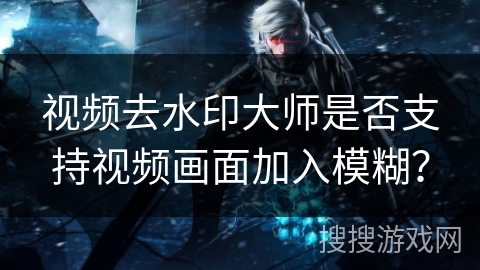 视频去水印大师是否支持视频画面加入模糊? 视频去水印大师是否支持视频画面加入模糊?