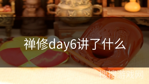 禅修day6讲了什么 禅修day6讲了什么