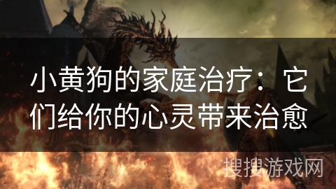 小黄狗的家庭治疗：它们给你的心灵带来治愈