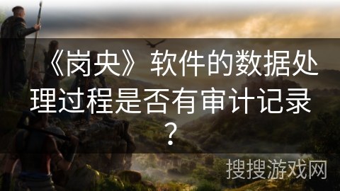 《岗央》软件的数据处理过程是否有审计记录？