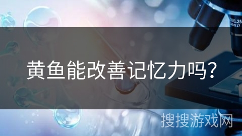 黄鱼能改善记忆力吗？