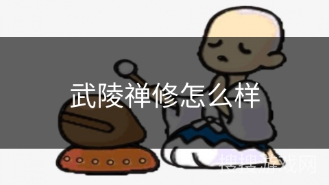 武陵禅修怎么样