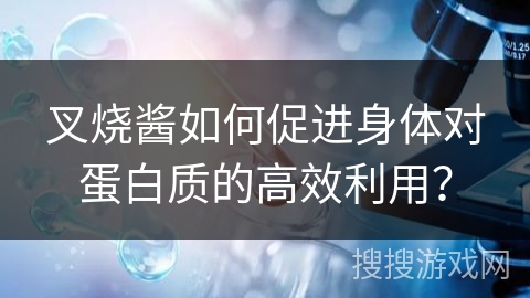 叉烧酱如何促进身体对蛋白质的高效利用？