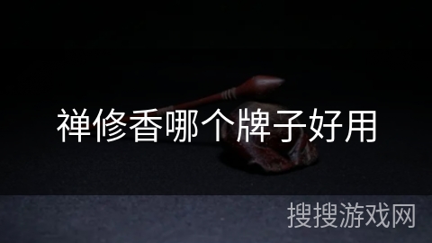 禅修香哪个牌子好用