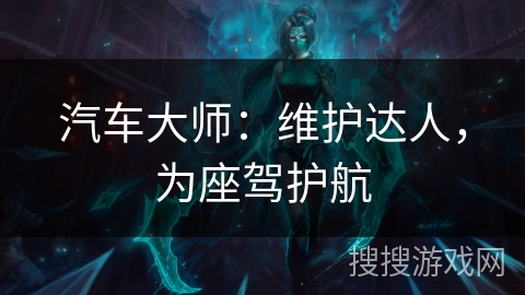 汽车大师：维护达人，为座驾护航