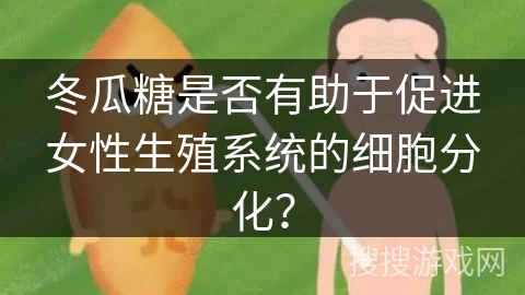 冬瓜糖是否有助于促进女性生殖系统的细胞分化?