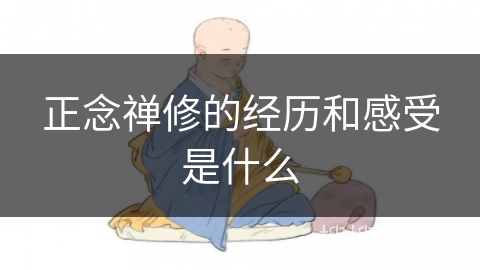 正念禅修的经历和感受是什么