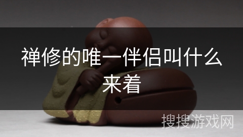 禅修的唯一伴侣叫什么来着 禅修的唯一伴侣叫什么来着
