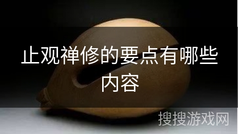 止观禅修的要点有哪些内容